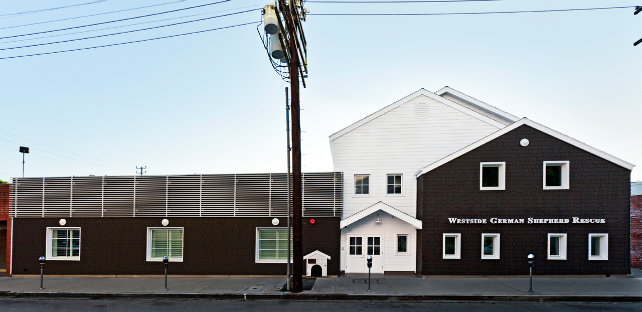 german shepherd rescues