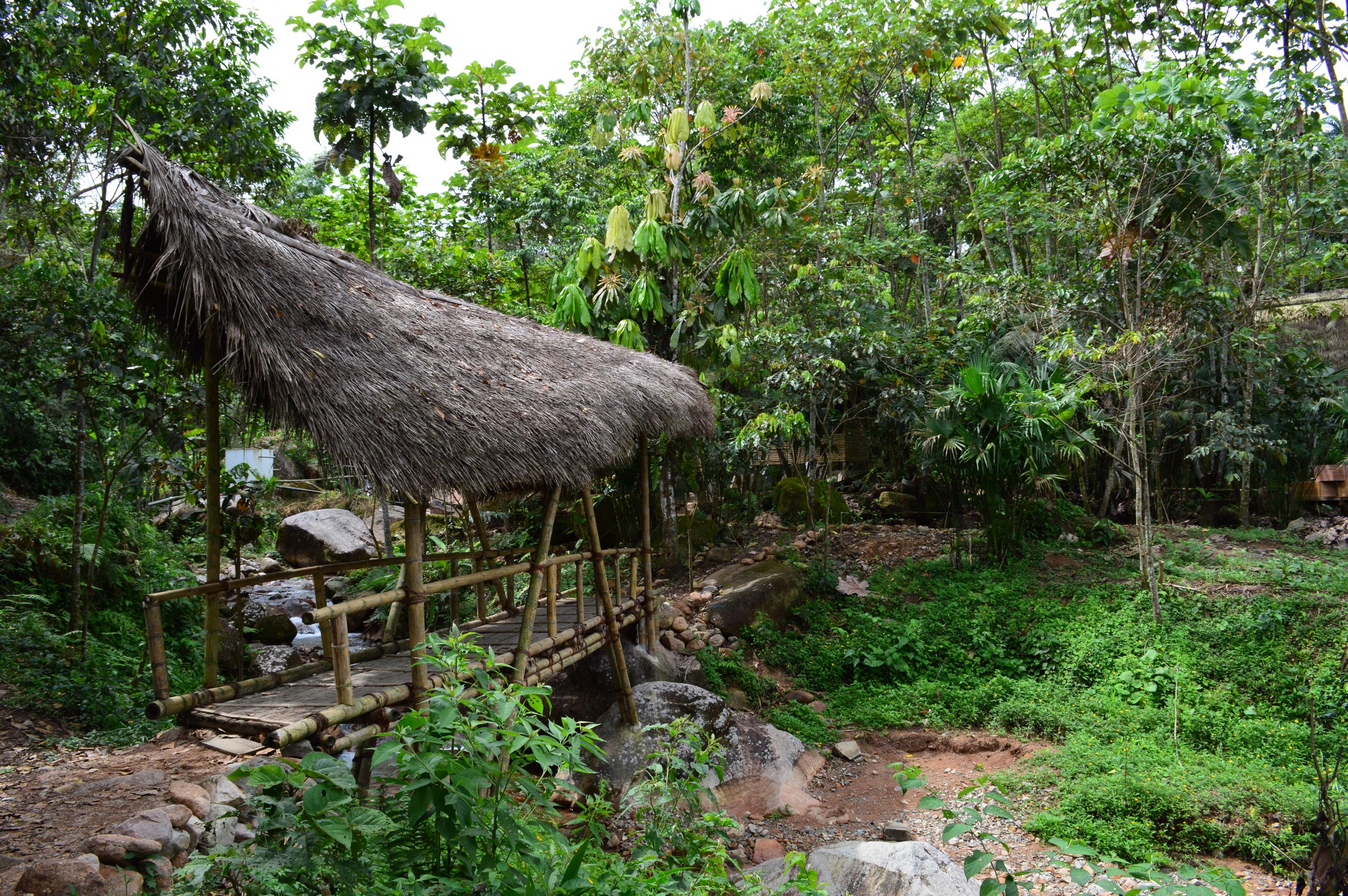 Gallery of COCOA INTERPRETATION CENTER (COCOA CABIN) ENSUSITIO Arq
