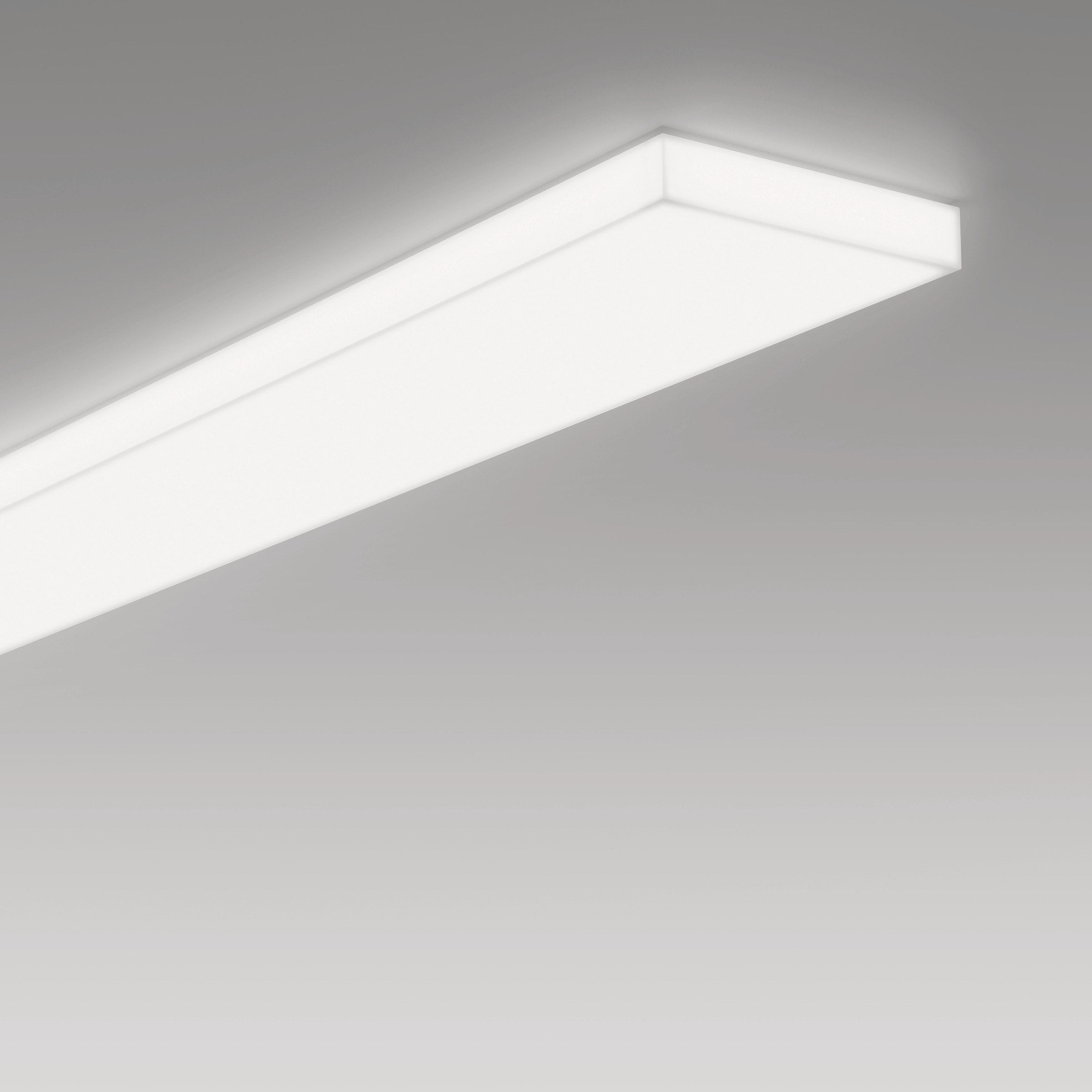 REGENT LIGHTING REGENT LIGHTING