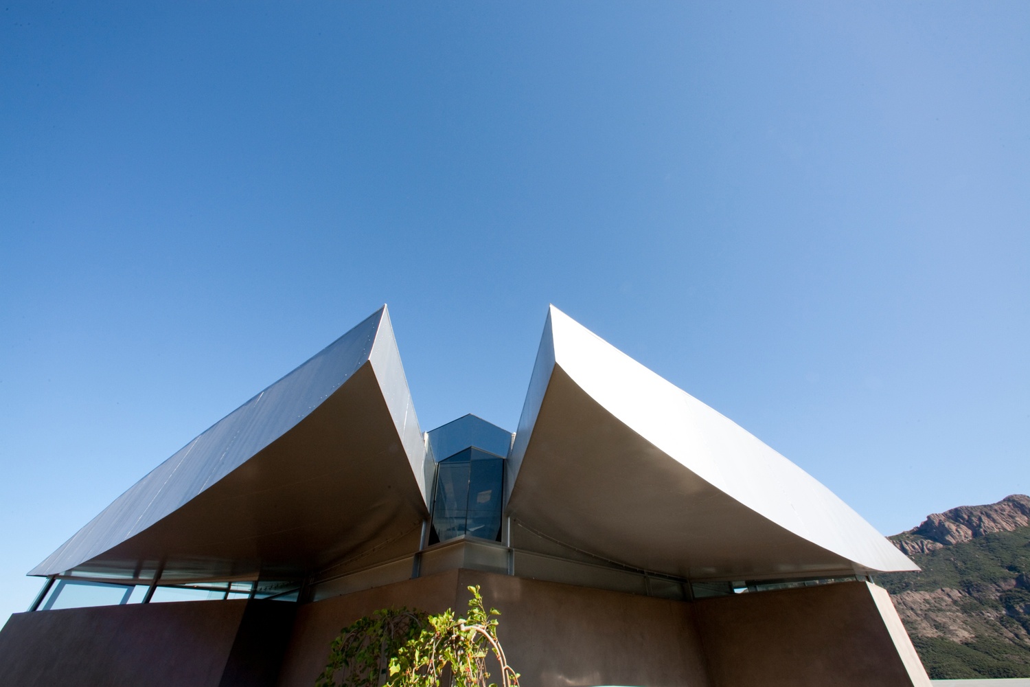 David Hertz 747 Wing House