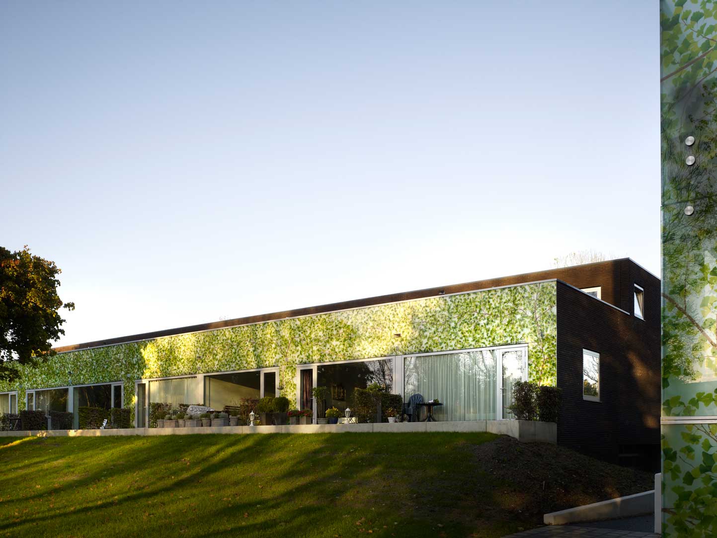 Green-skinned building