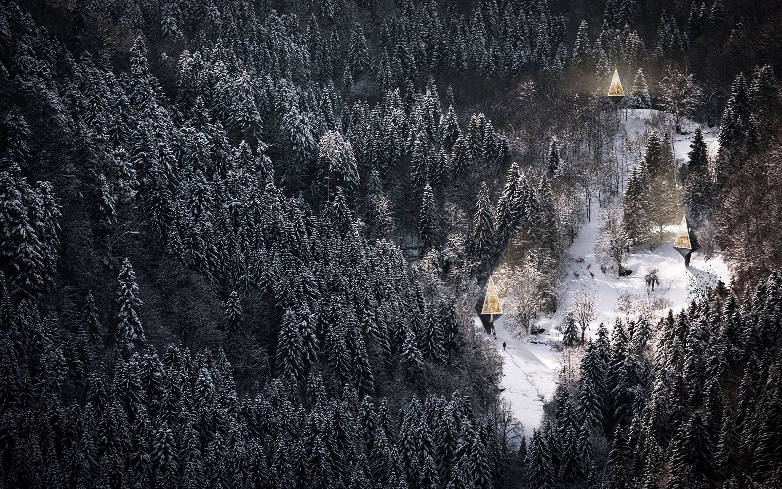 Фото Сверху Зимой