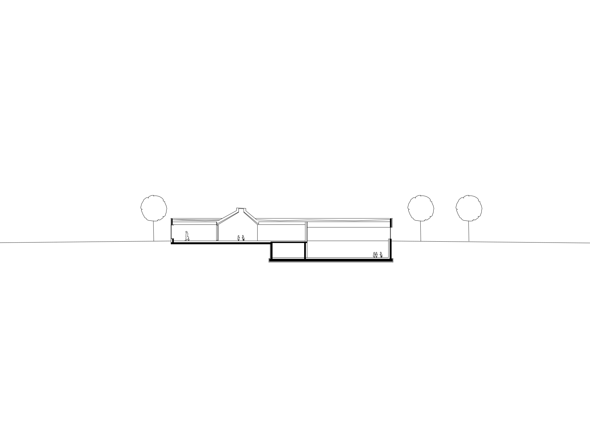 section