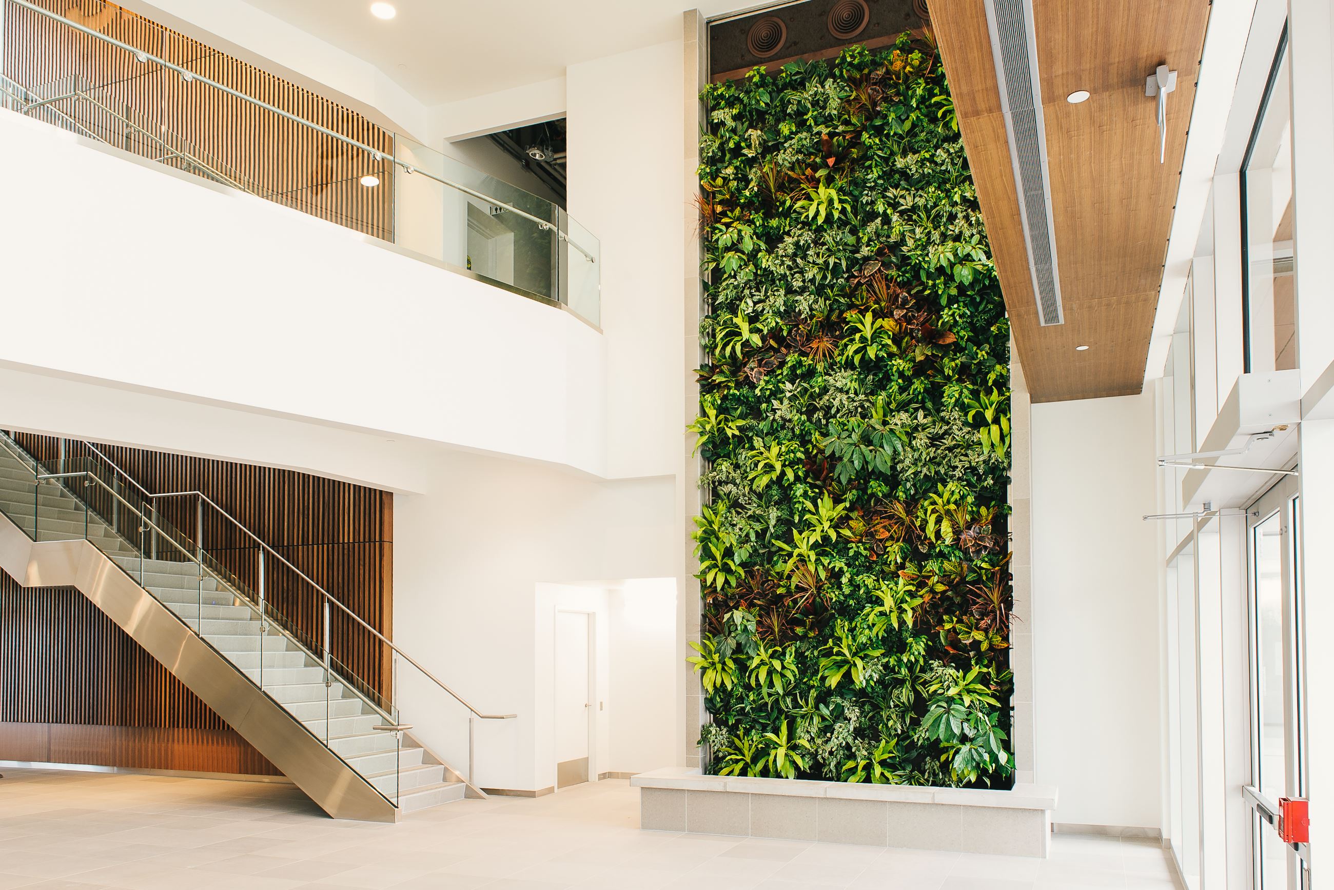 Nedlaw Living Walls Nedlaw Living Walls