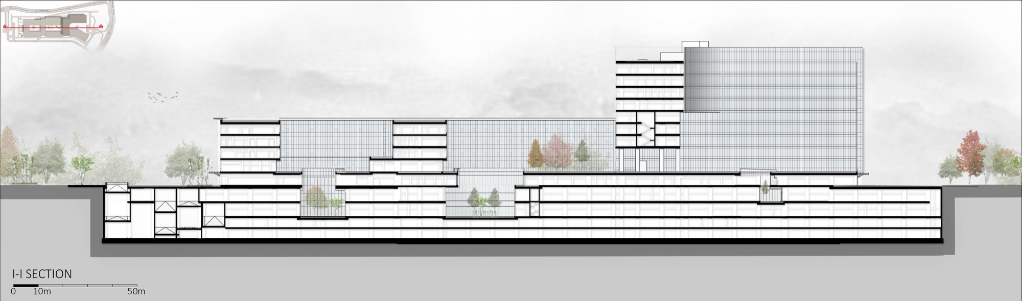 Section