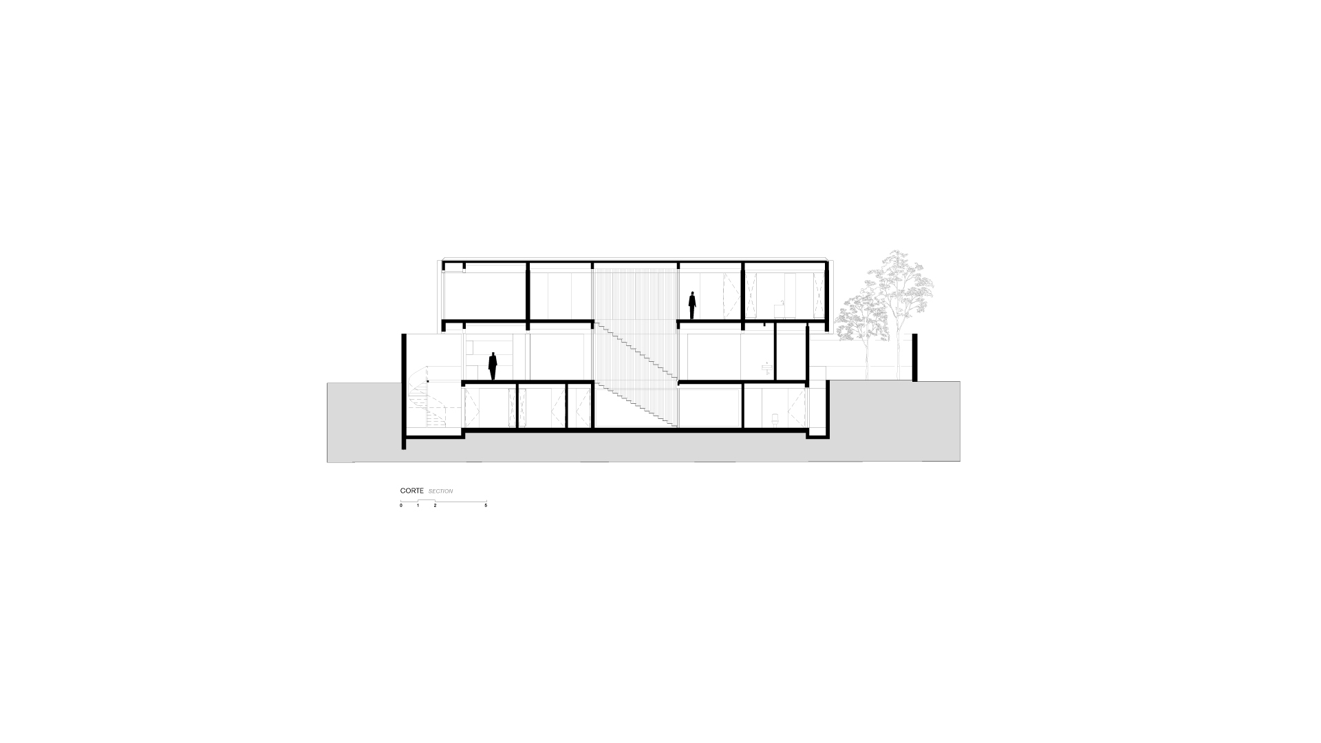 Section AA