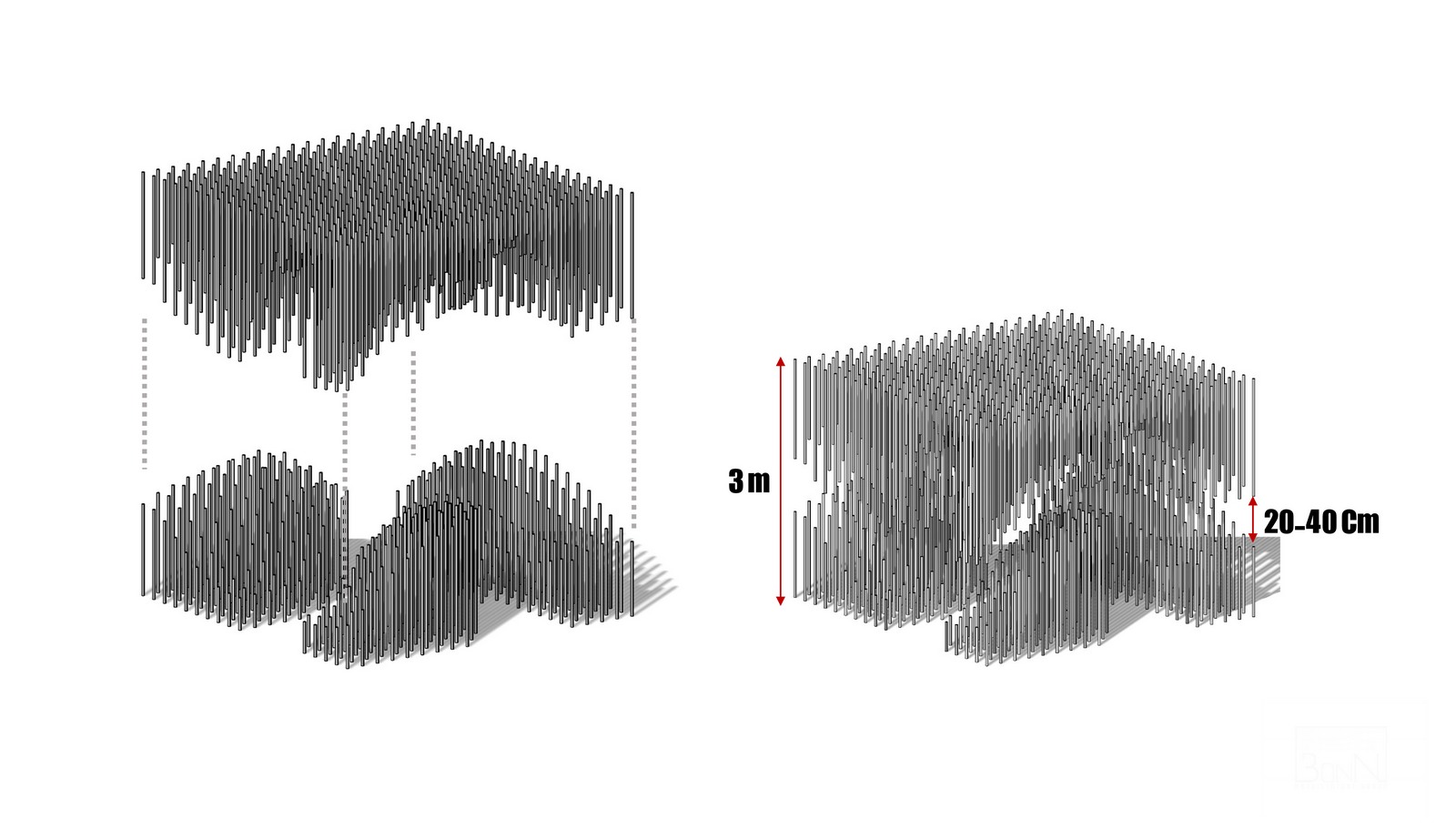 Common Reed Attributes