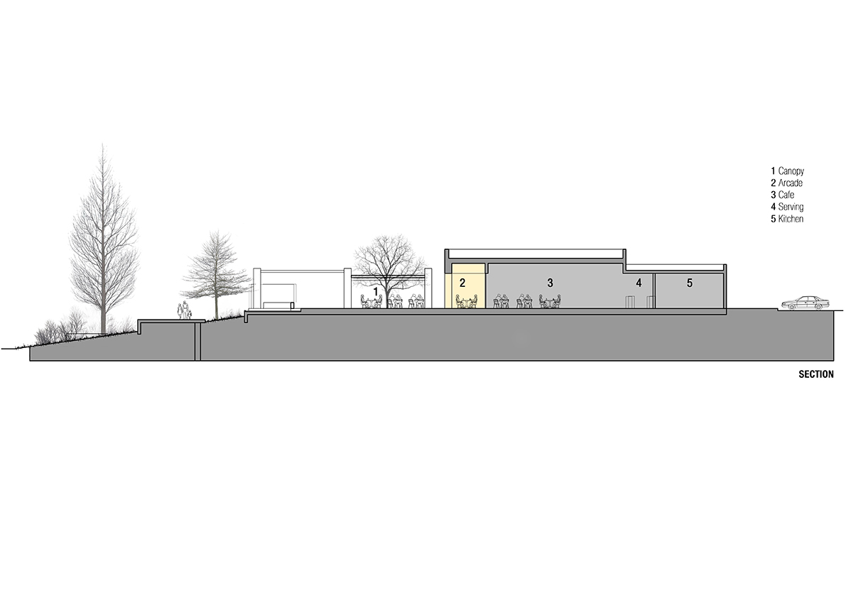 section