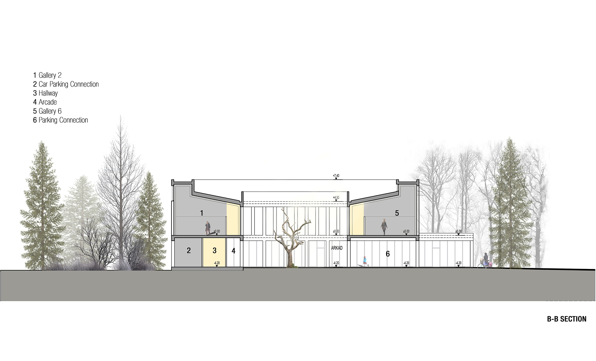 section