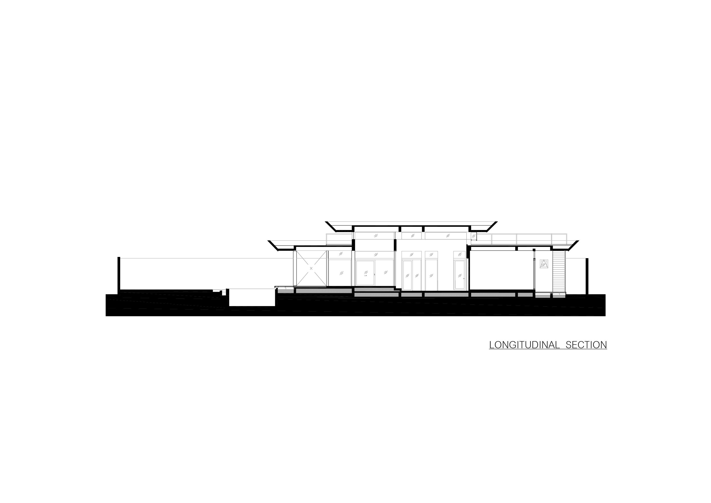 Longitudinal Section