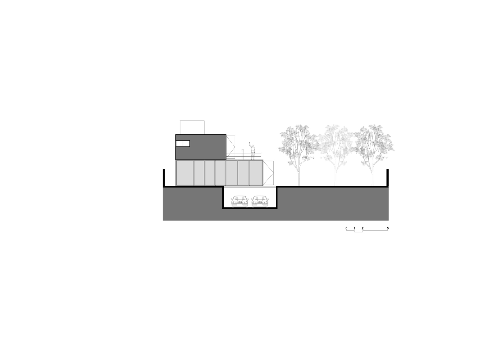 section