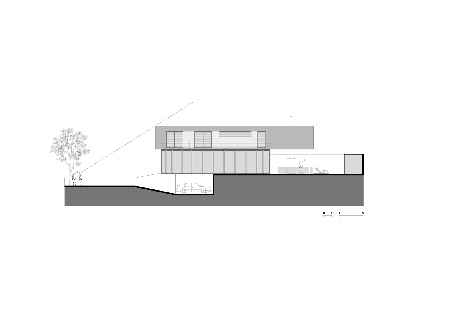 section
