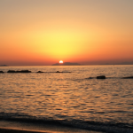 Omar Solis de la Cerda