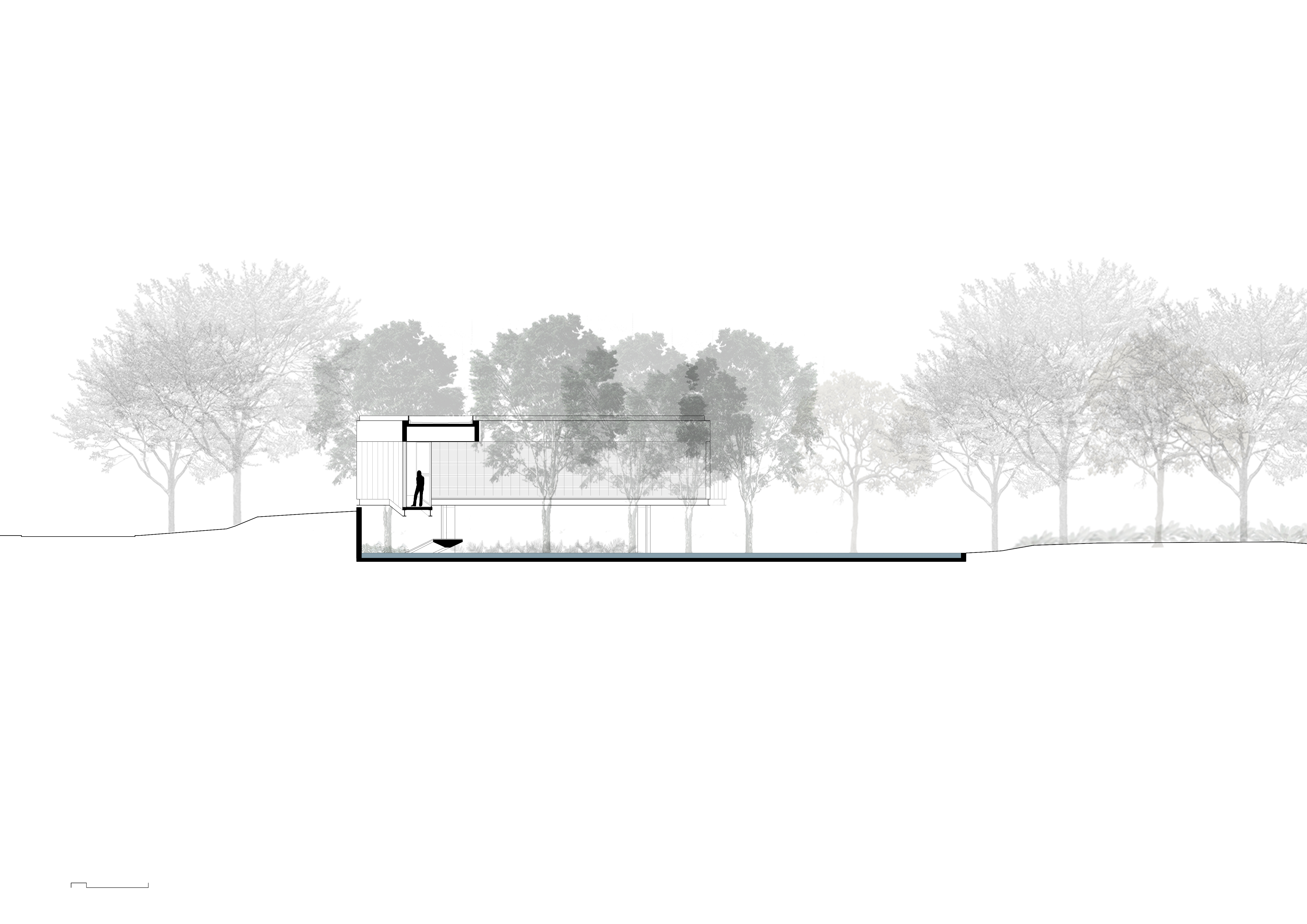 Section CC