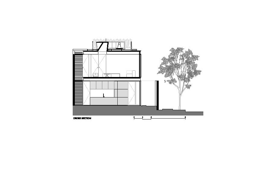 section