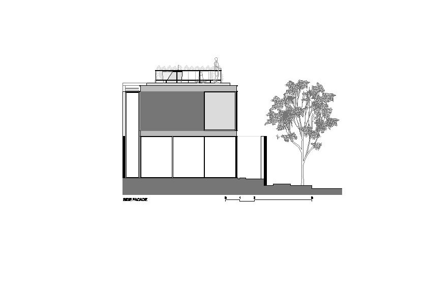 section