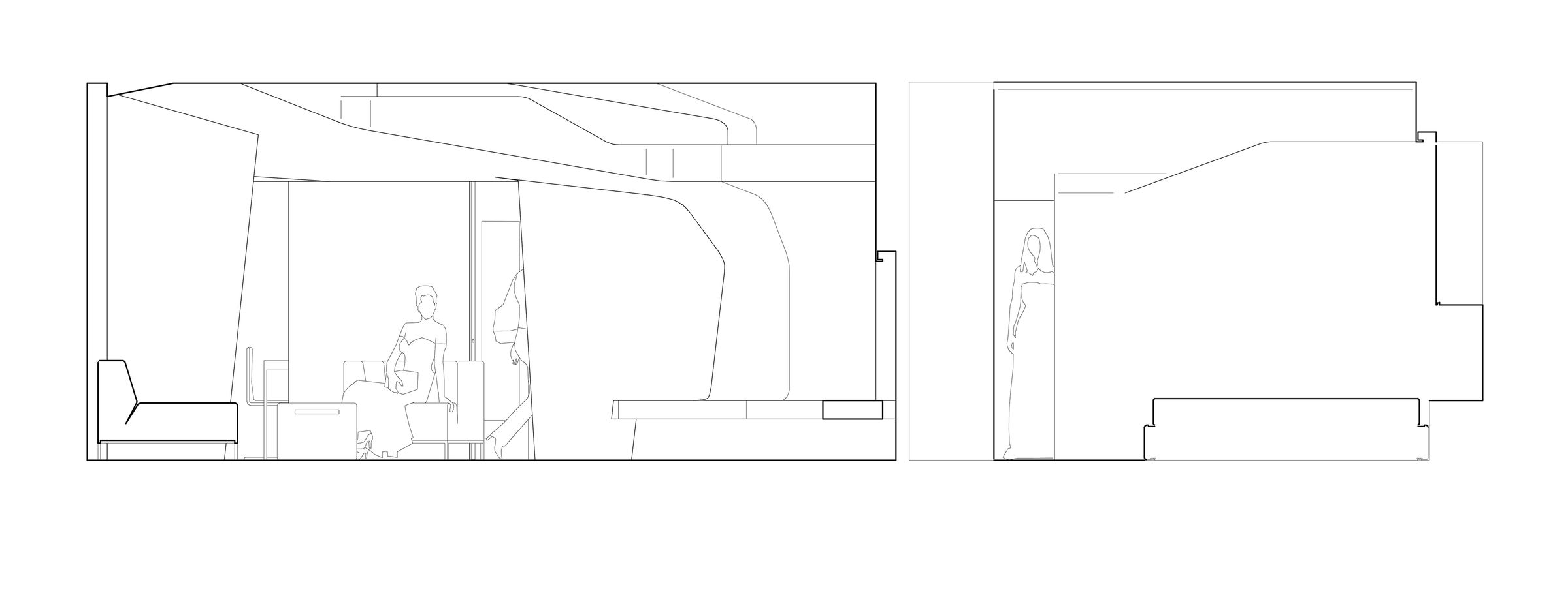longitudinal section