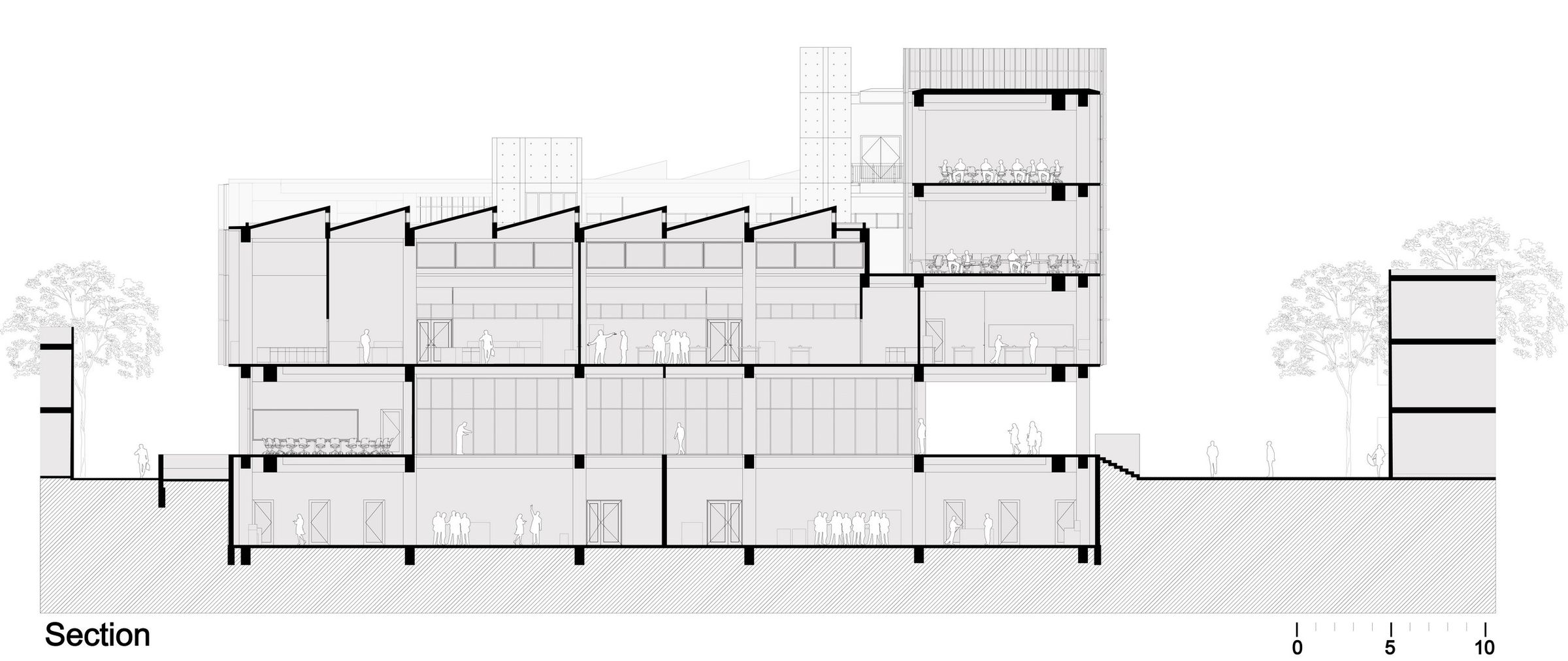Section