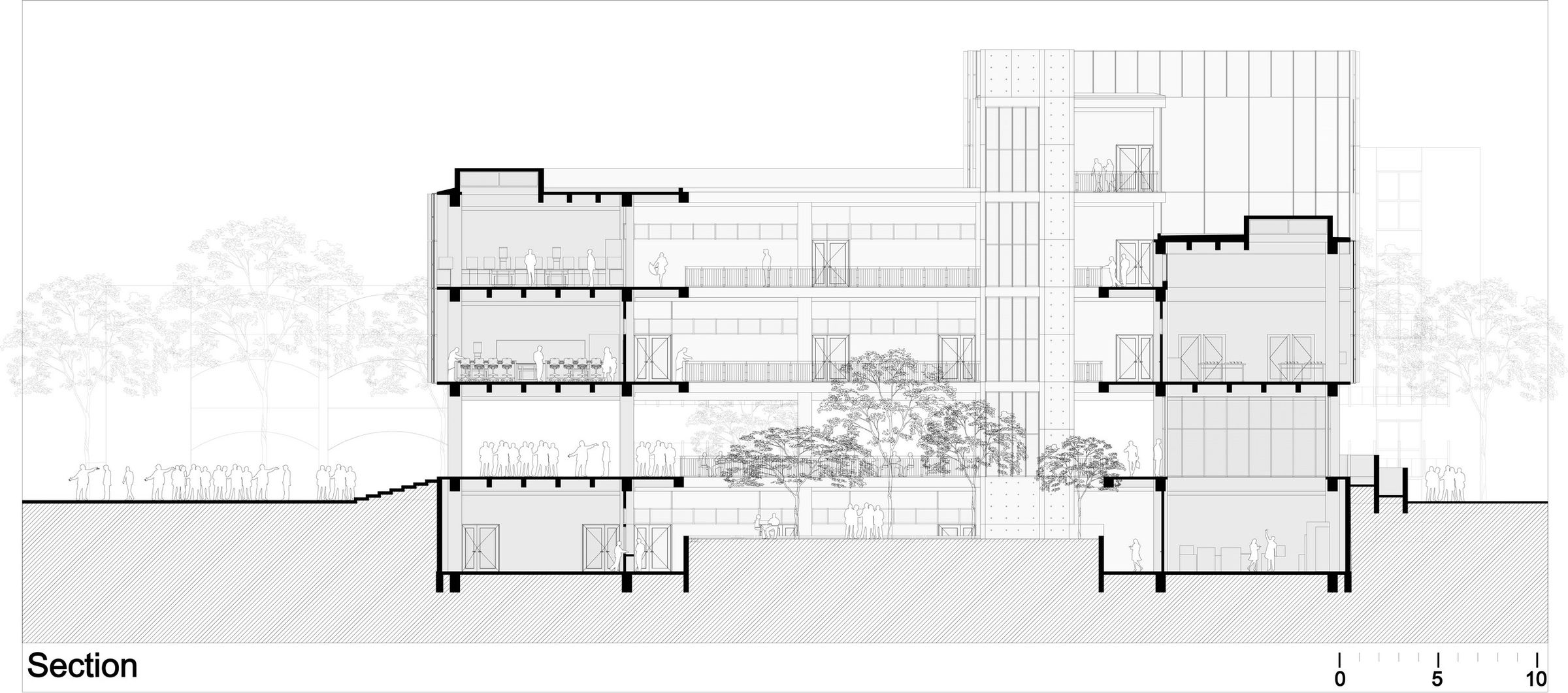 Section