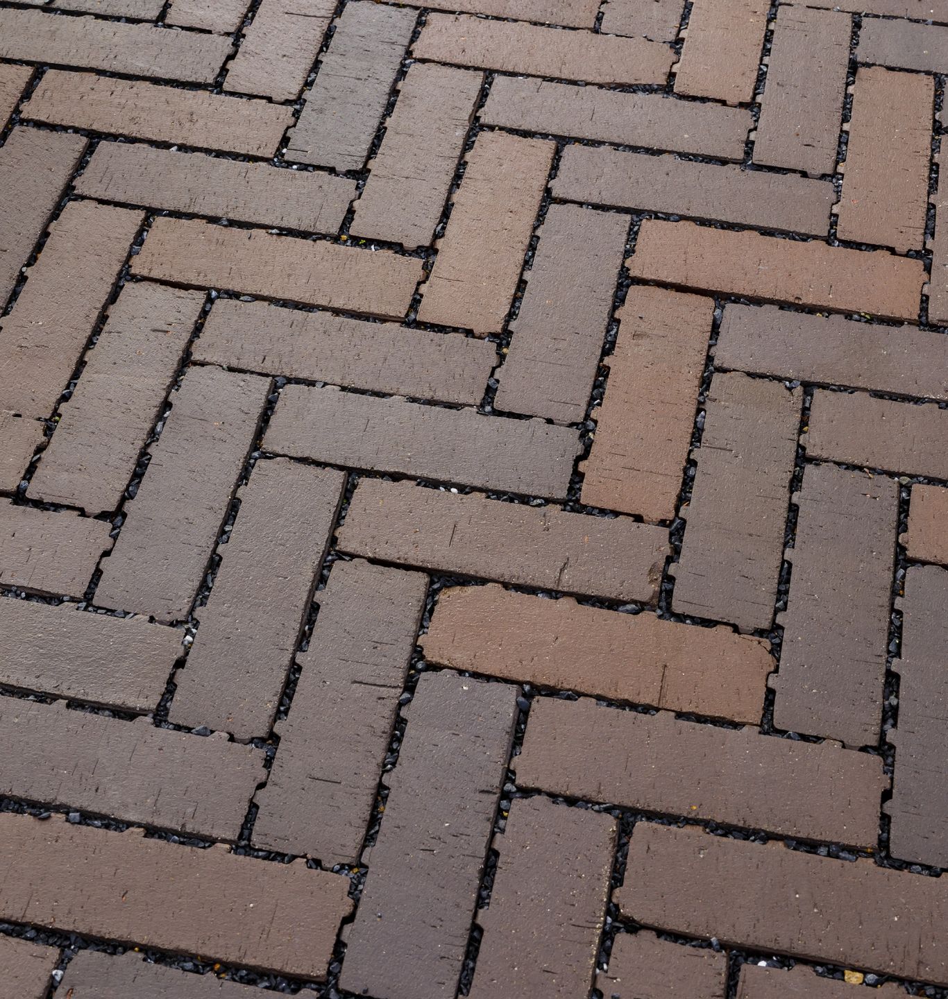 Passaqua, The permeable clay paver by Wienerberger Media Photos and