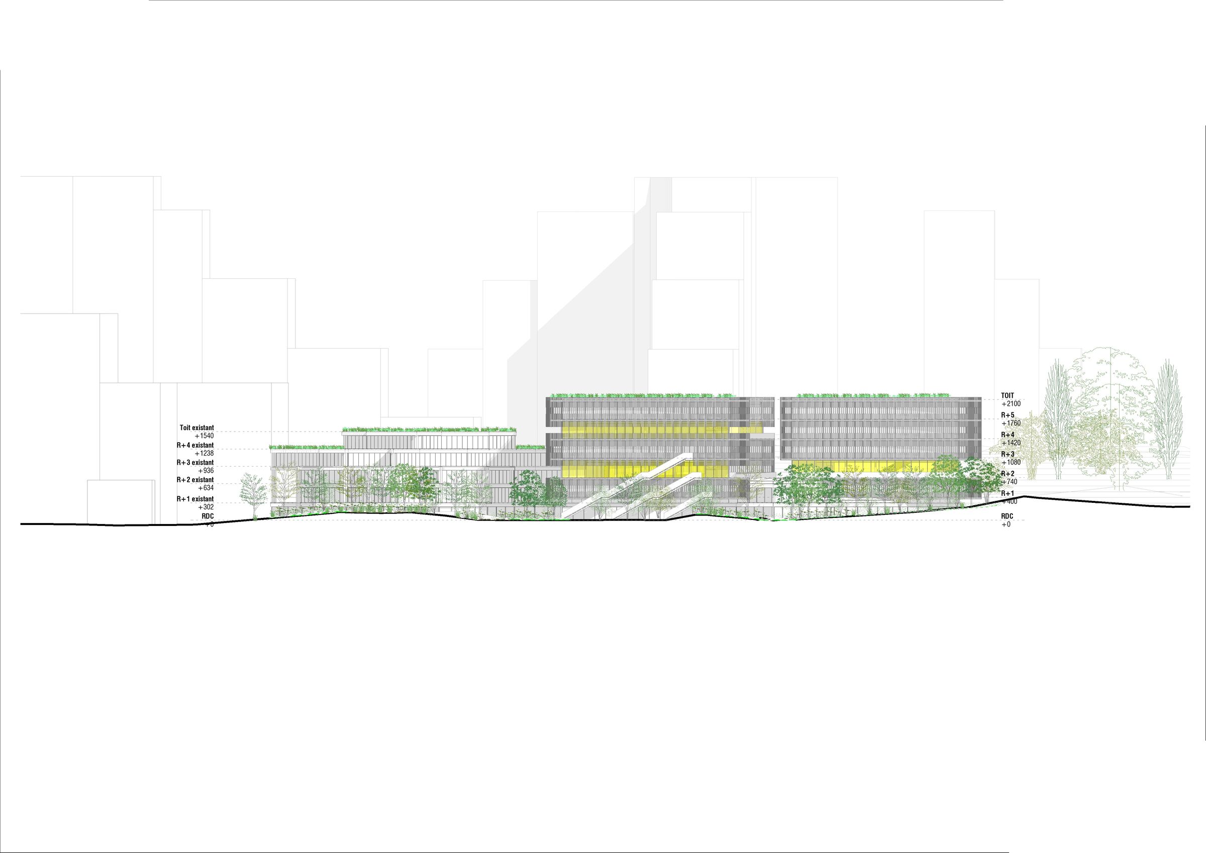 Section