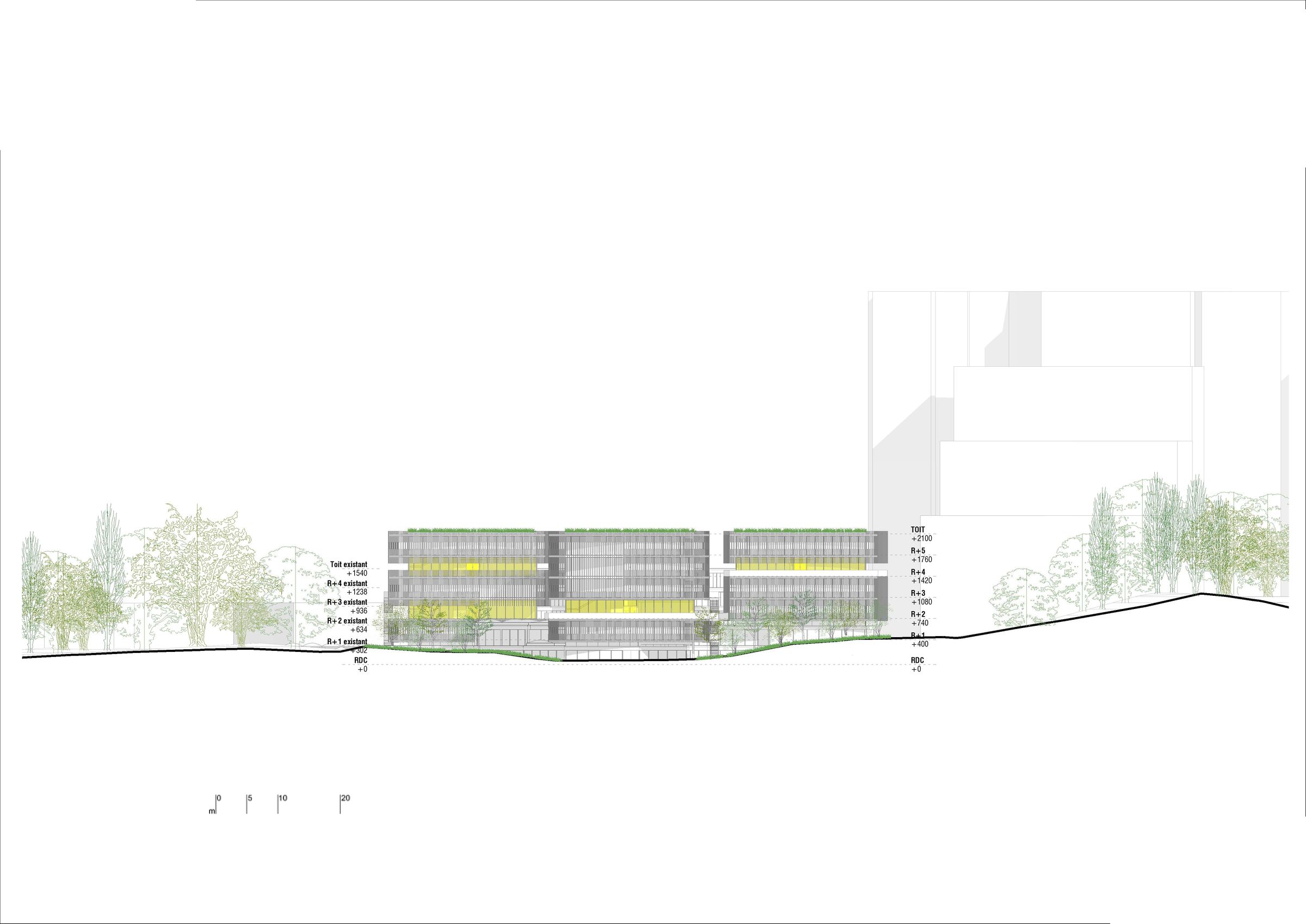 Section