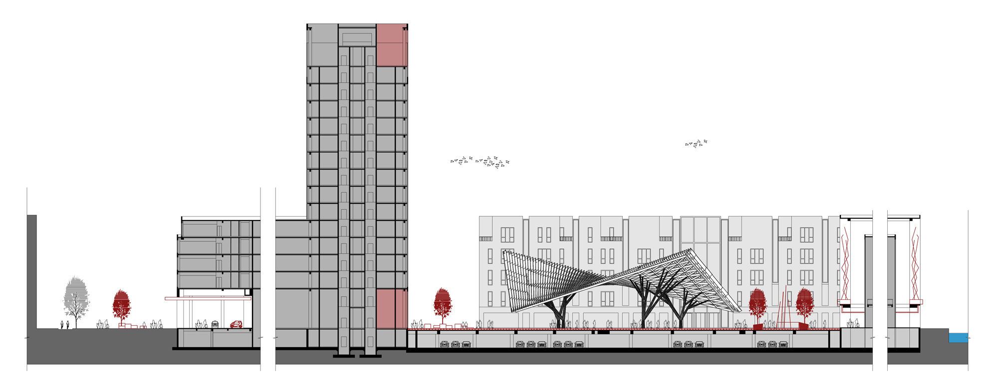 Site Section