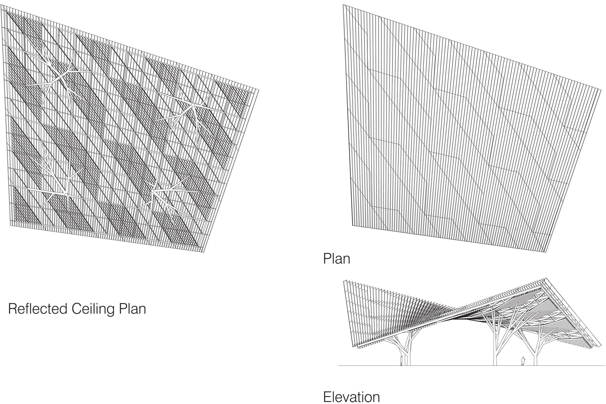 Roof Plan Elevation