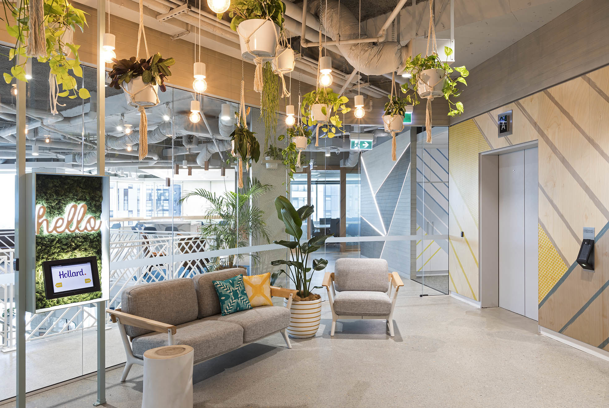 Hollard Insurance | The Bold Collective | Archello