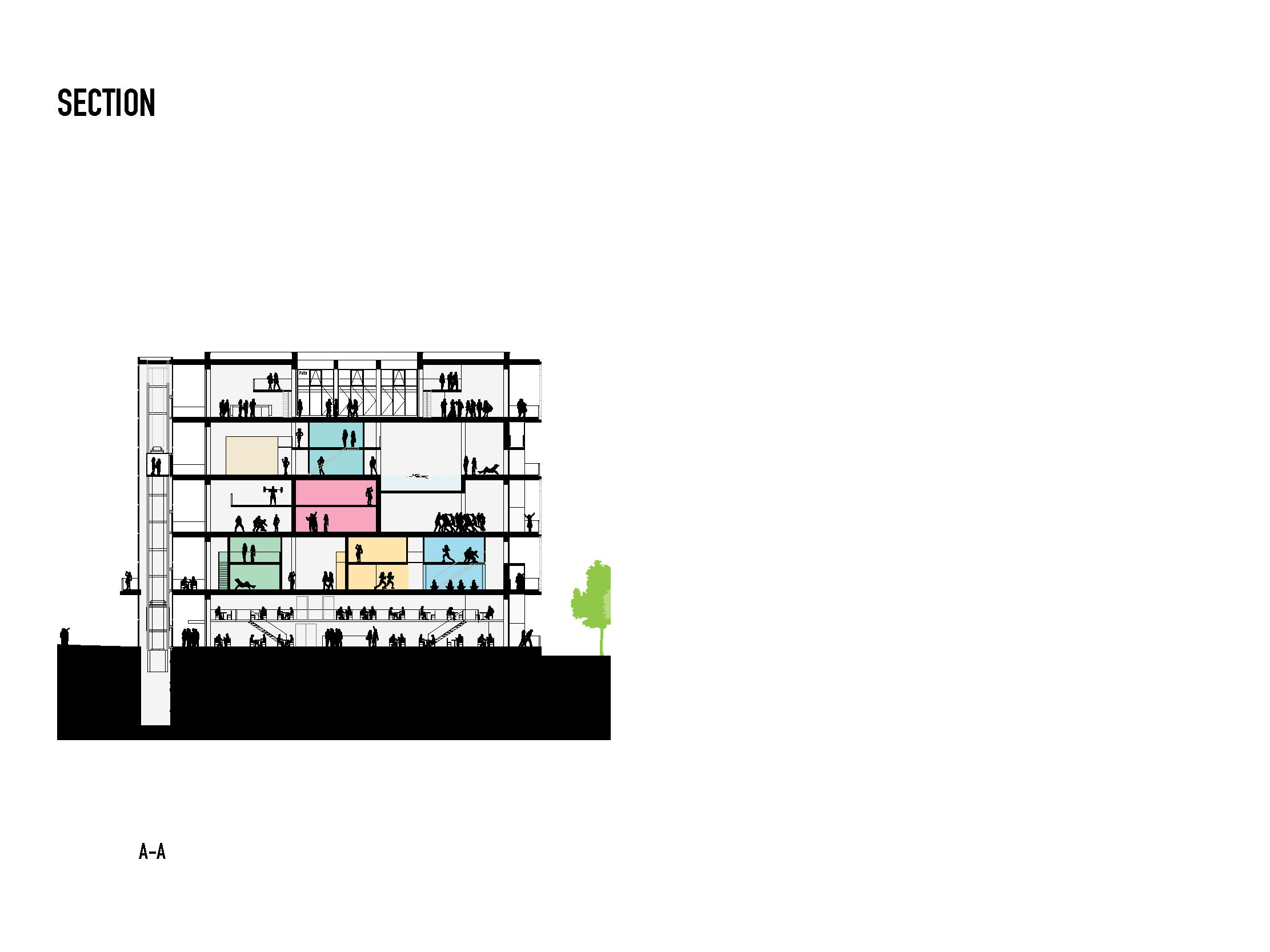 Section