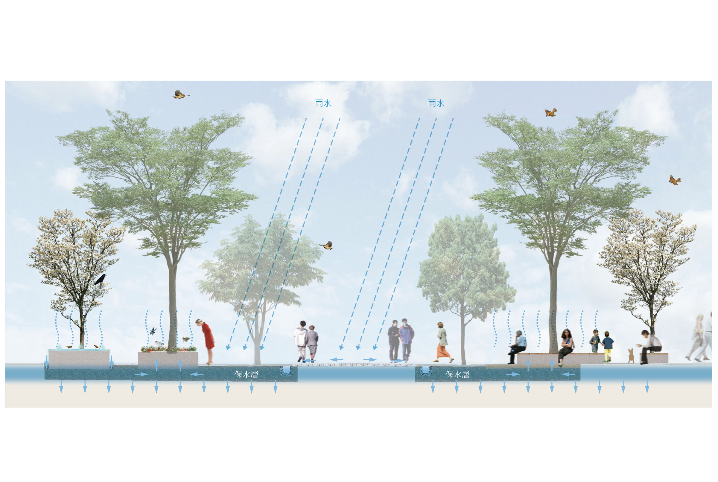 Water Circulation
