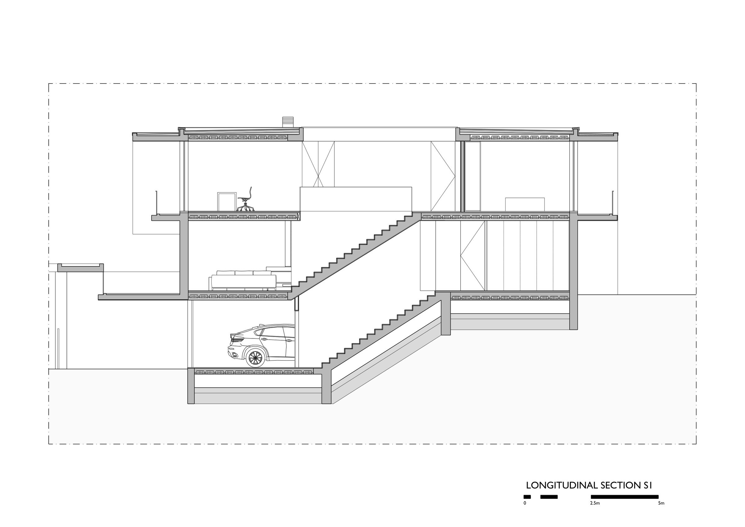 Longitudinal Section