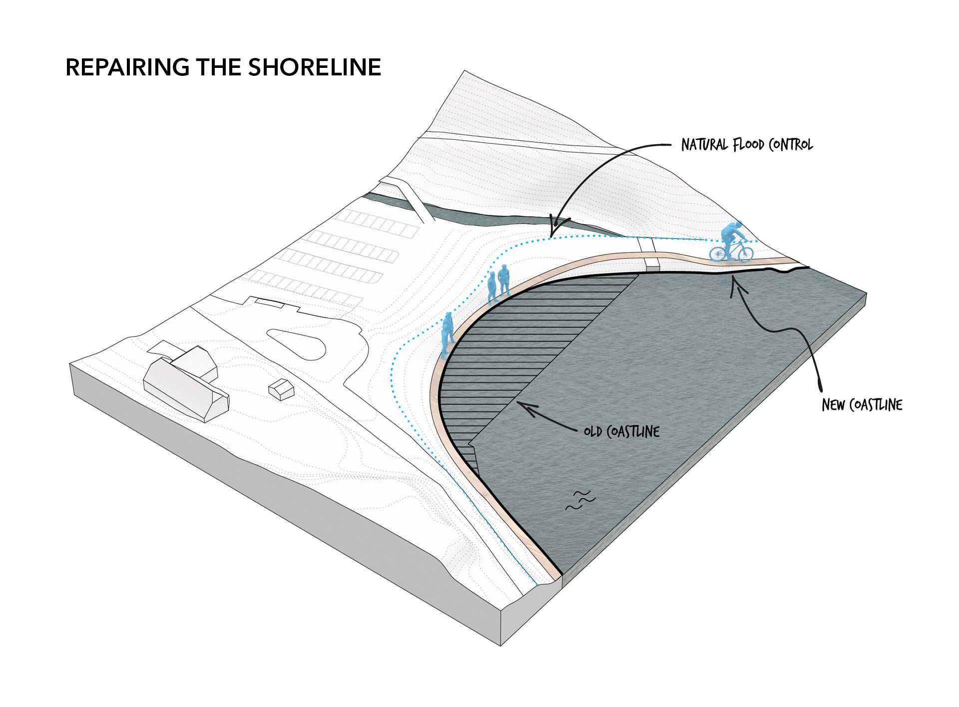 Repairing the shoerline