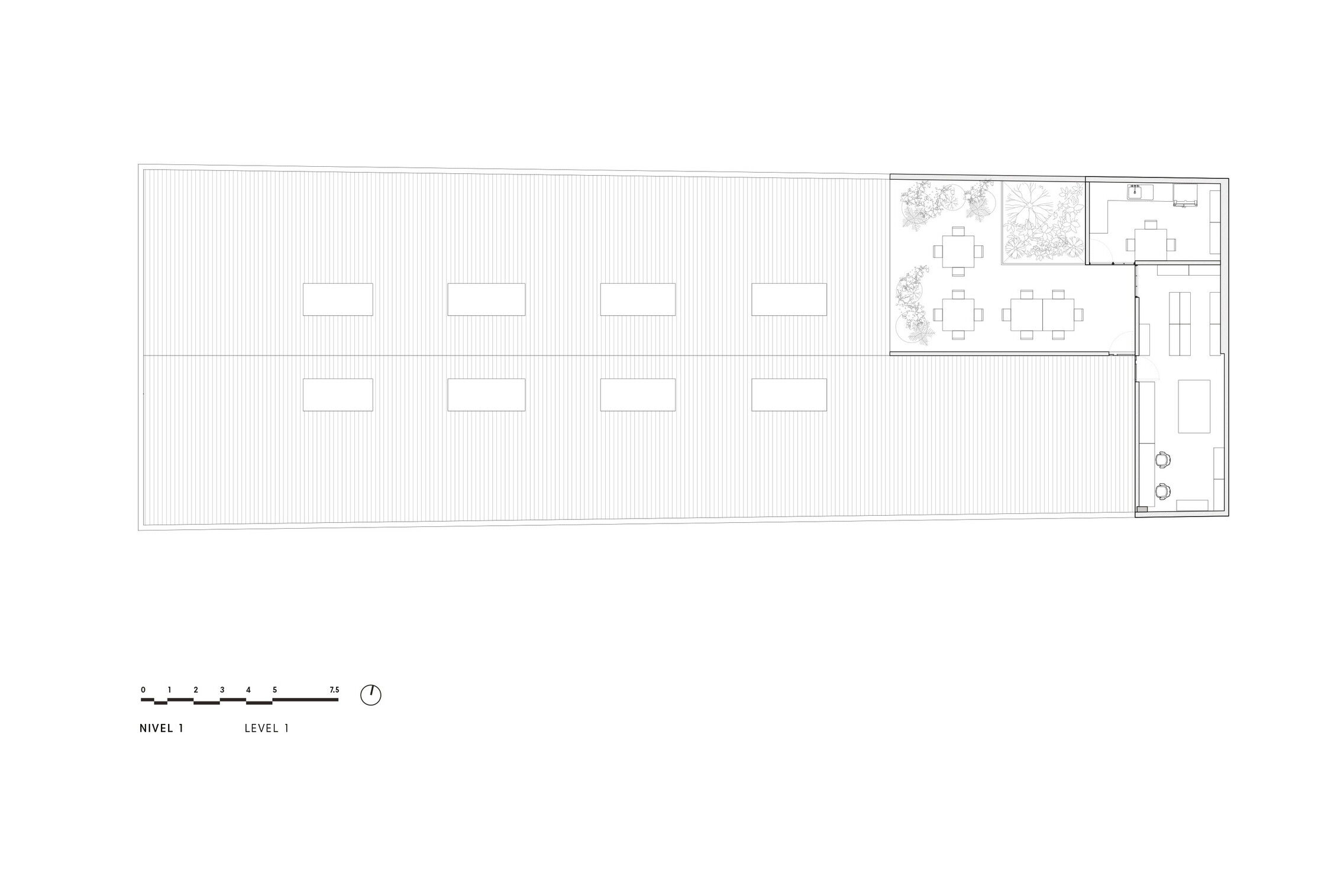 First level