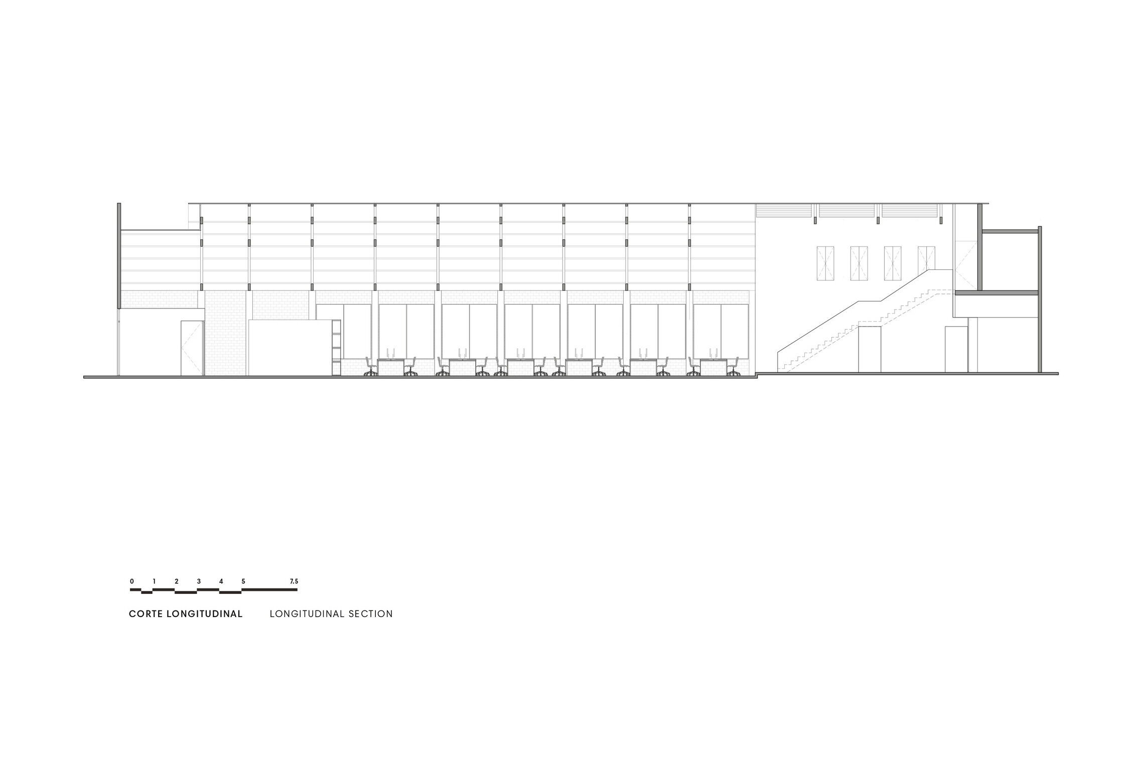 Longitudinal section