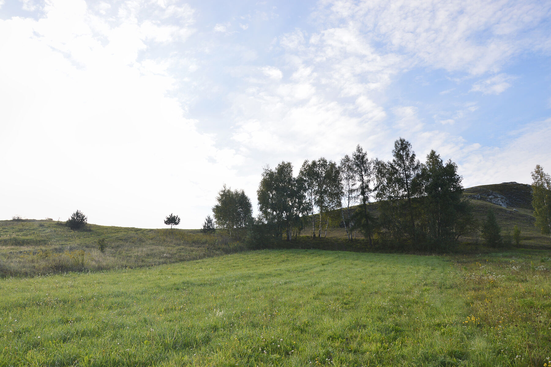 Plot view