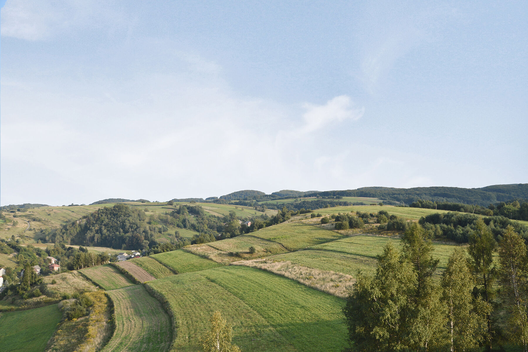 View from the plot towards the Krakow Valleys
