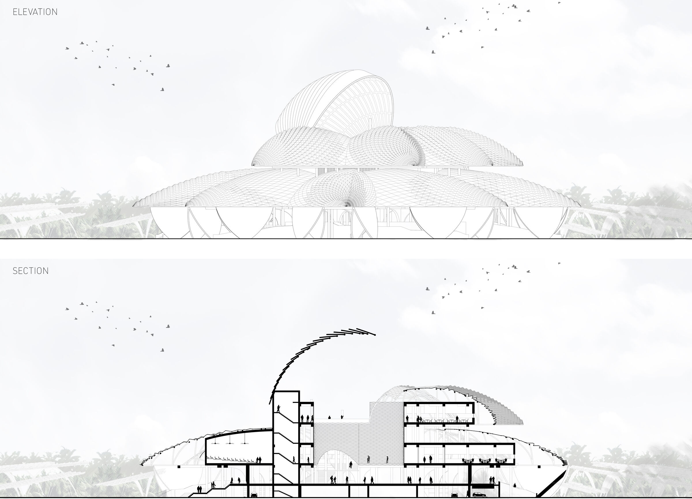 Elevation and Section