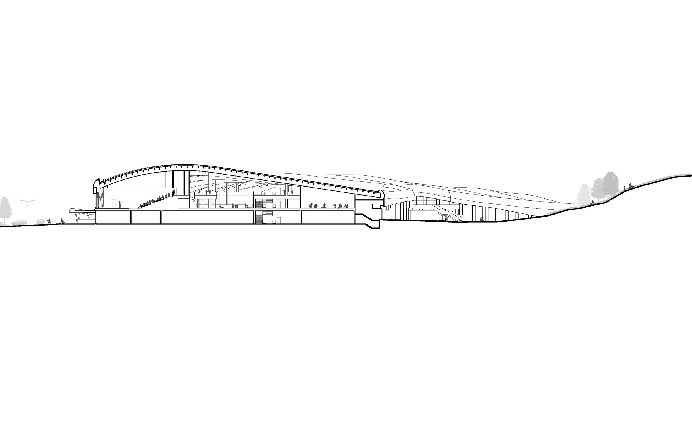 Section