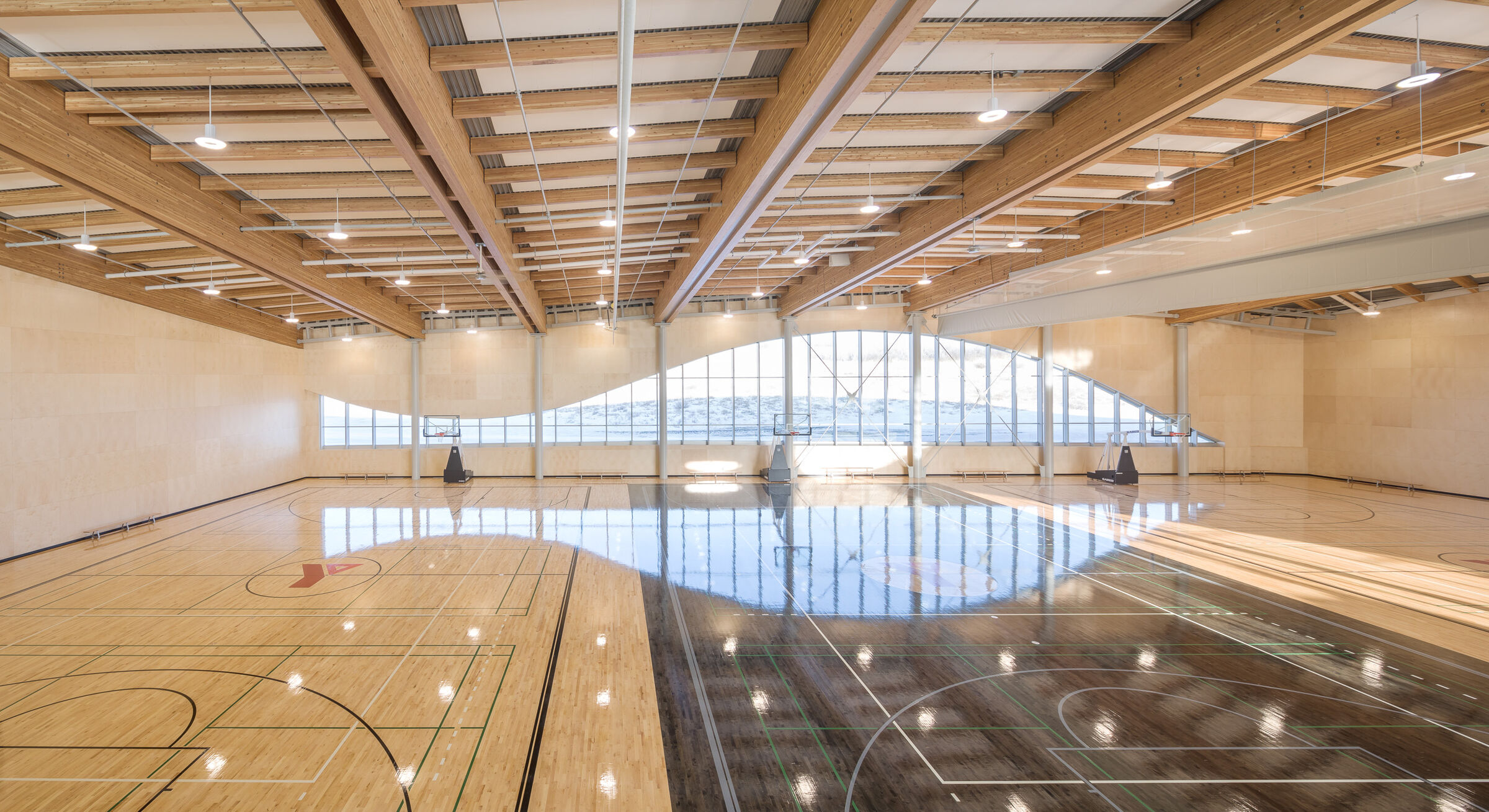 Gymnasium