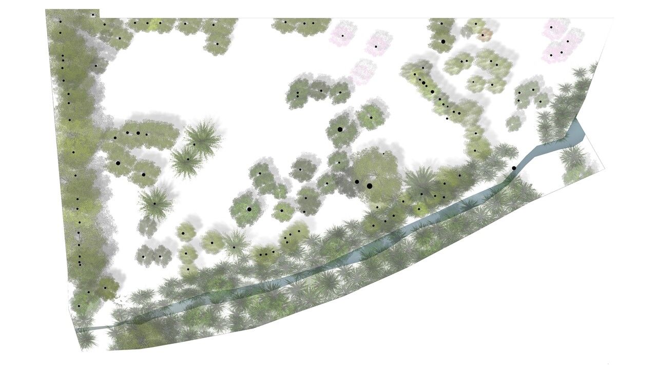Site Before