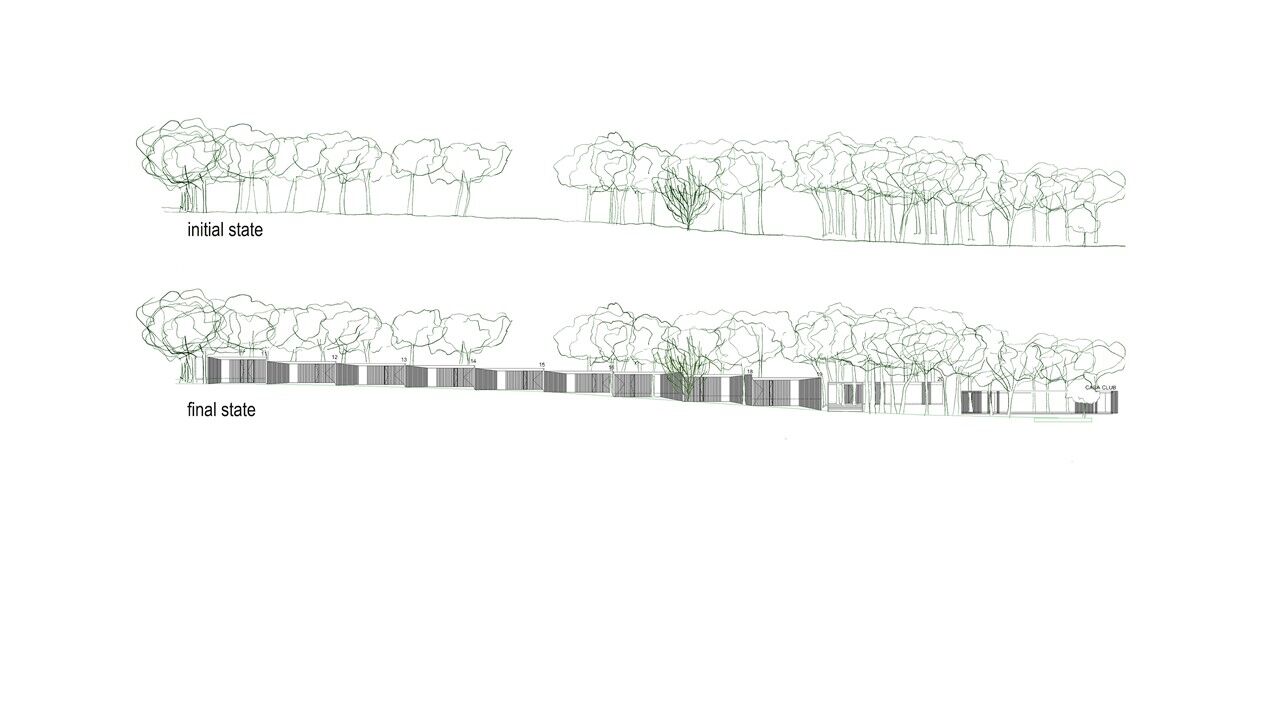 Street Elevations 01