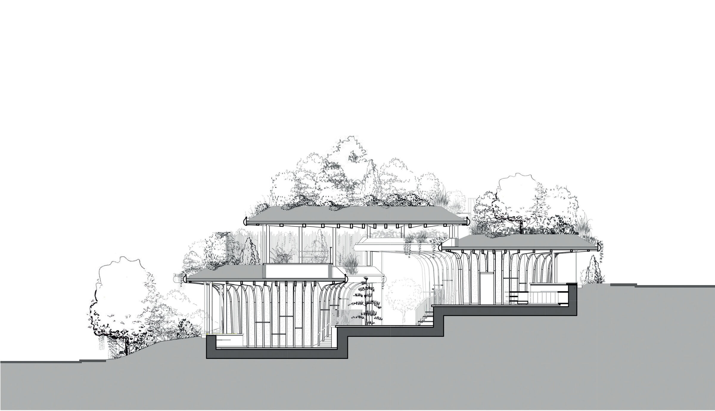 Cross section