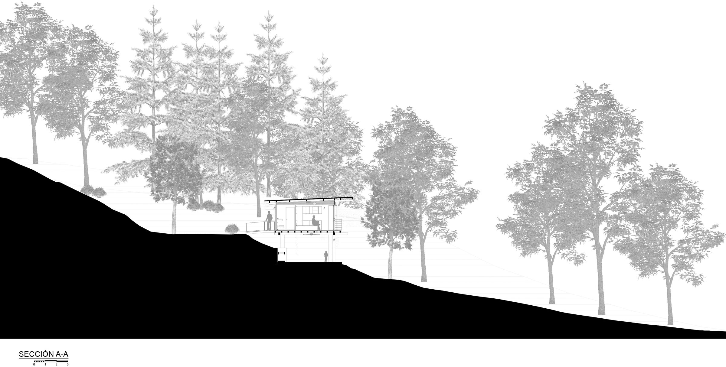 Section