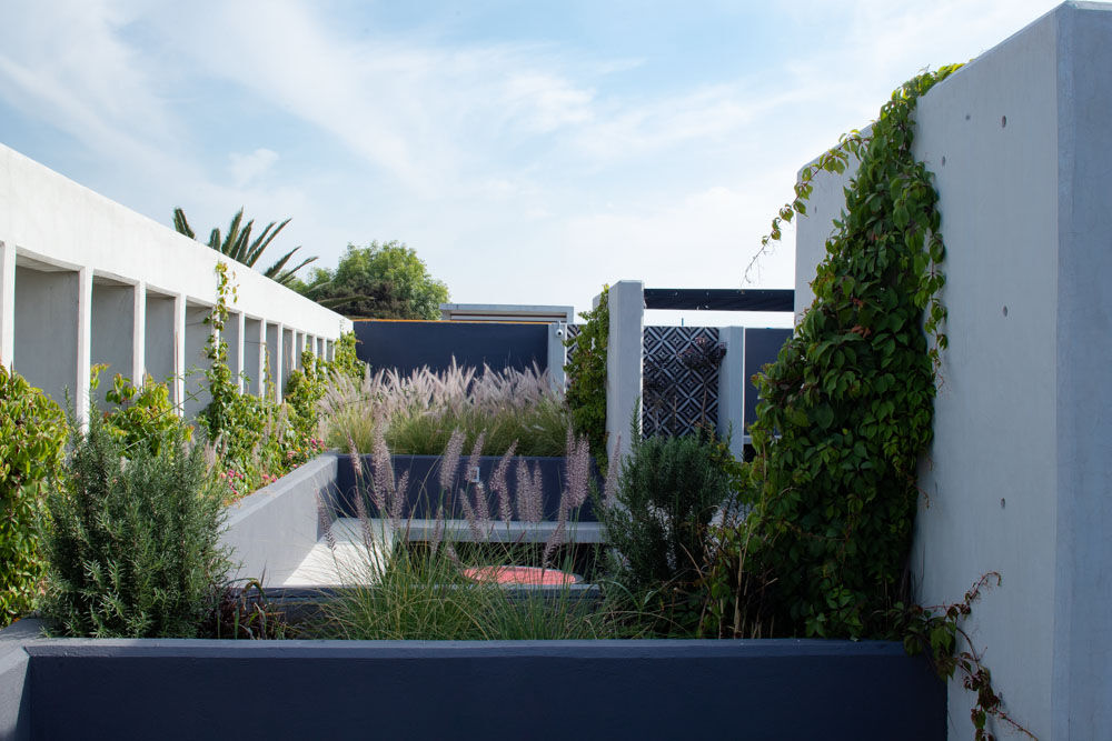 Roof garden