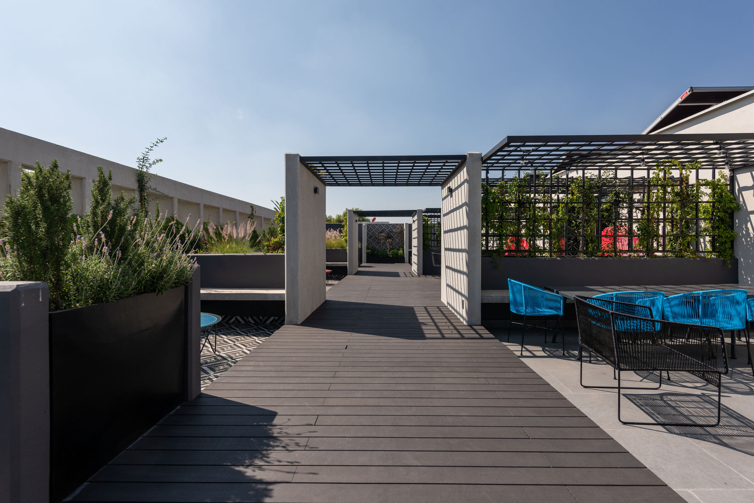 Roof garden