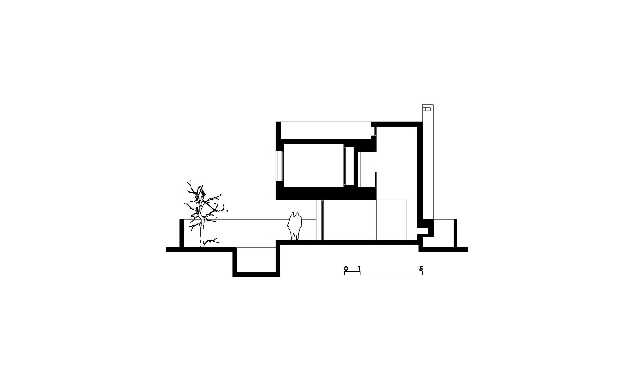 Villa CH, Coupe D-D