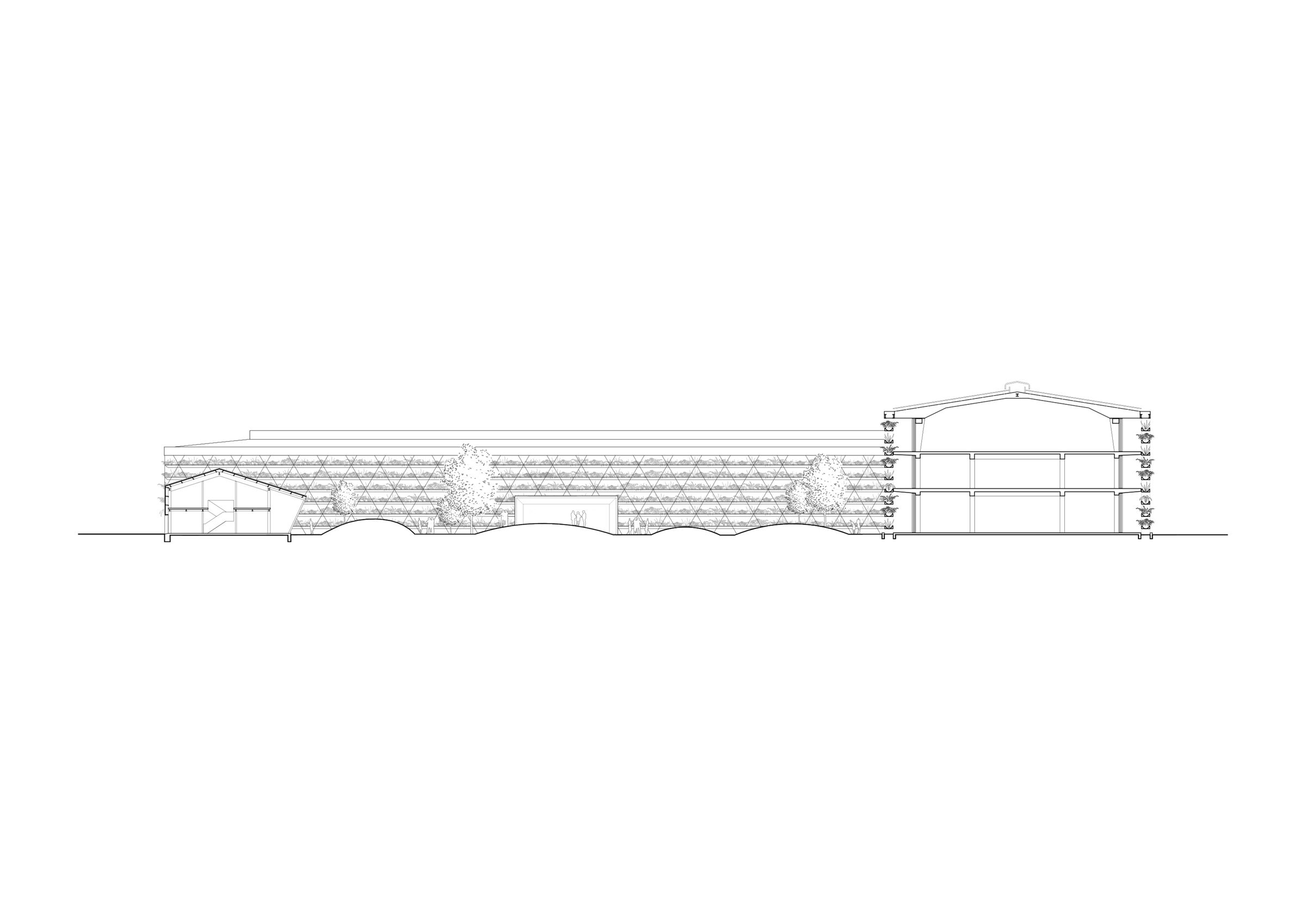 Section