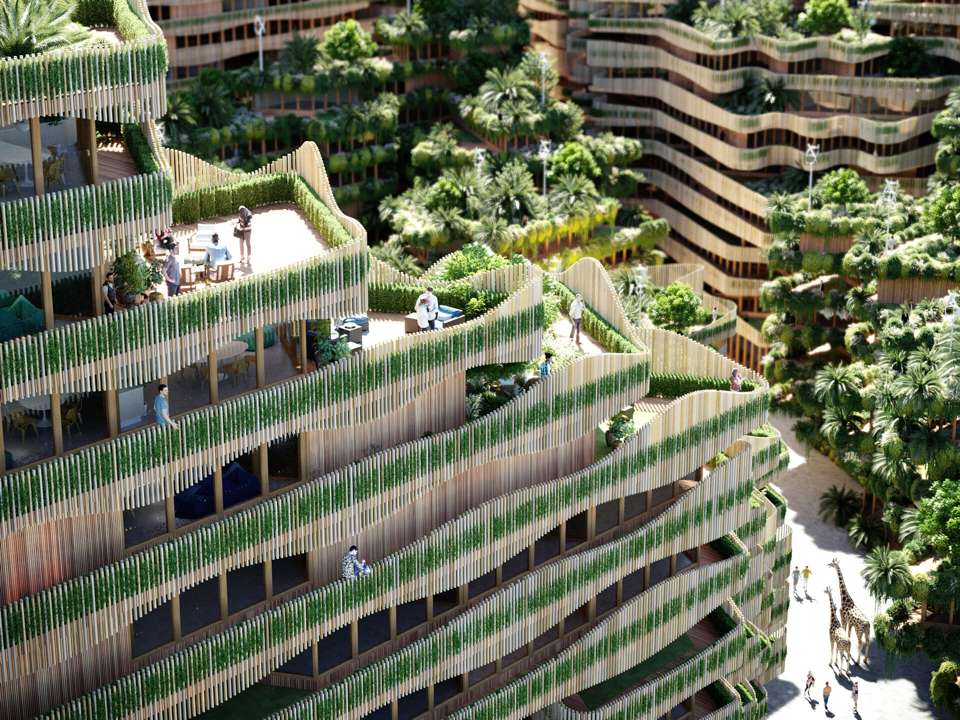 Mitosis XL - Drone view