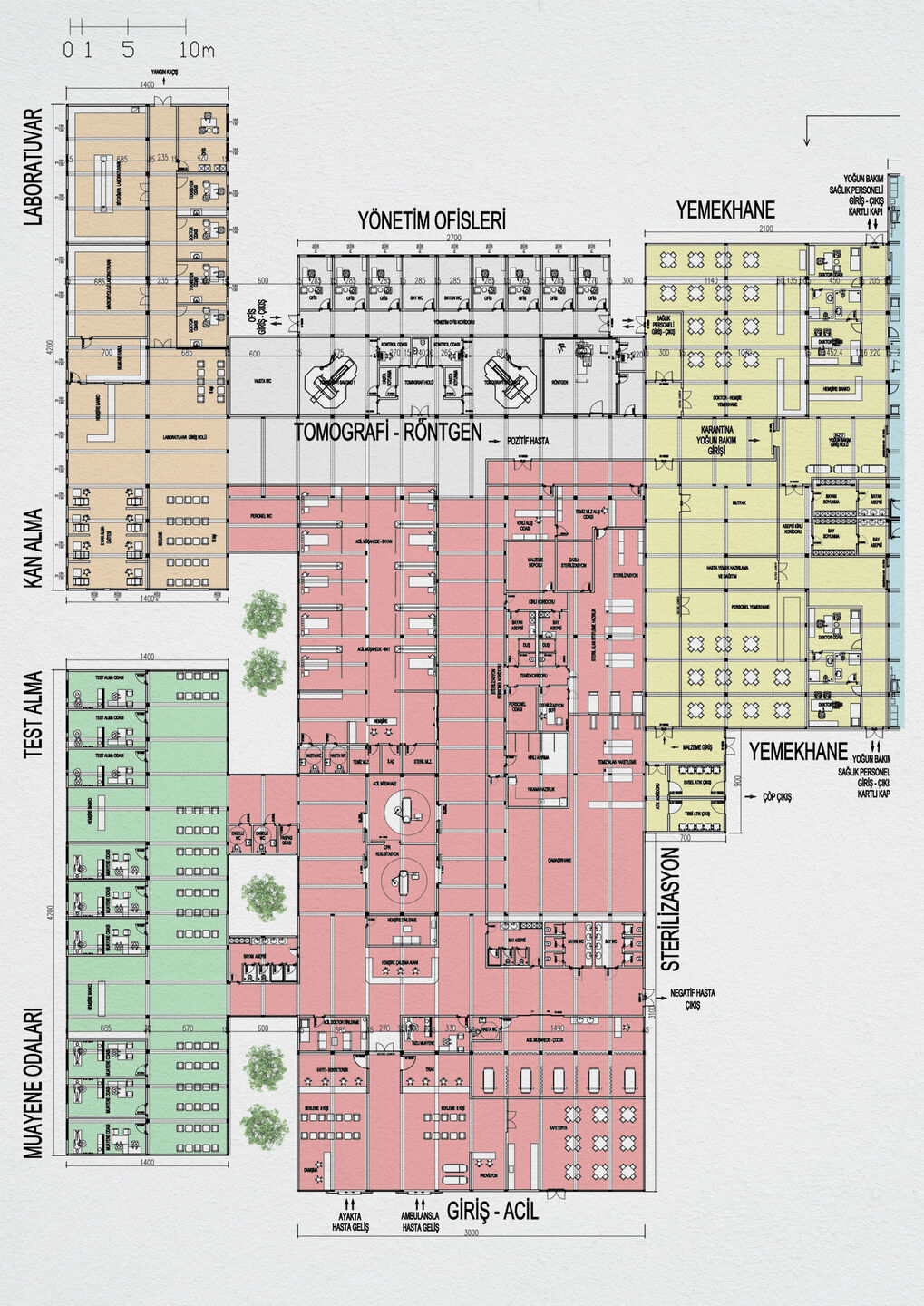 Project Plan 1